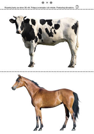 Poznaję i rozumiem świat 3 - Karty pracy dla uczniów z niepełnosprawnością intelektualną, dla przedszkoli i zespołów rewalidacyjno-wychowawczych