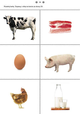 Poznaję i rozumiem świat 3 - Karty pracy dla uczniów z niepełnosprawnością intelektualną, dla przedszkoli i zespołów rewalidacyjno-wychowawczych