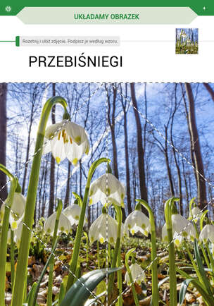 Przyszła wiosna. Karty pracy dla I etapu nauczania uczniów z niepełnosprawnością intelektualną w stopniu umiarkowanym