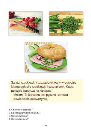 Ja i mój świat 3. Lekcje dla uczniów z autyzmem i specjalnymi potrzebami edukacyjnymi. Etap zdania PODRĘCZNIK - część 2