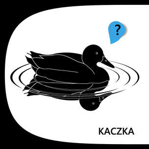 Hela i Tomek poznają zwierzęta. Zestaw 2 książeczek dla najmłodszych dzieci. Część 1 i 2