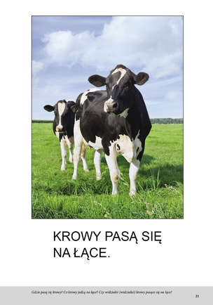 Bardzo proste czytanki dla dzieci - WIEŚ