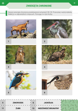 Podróż przez pory roku z kartami pracy - Komplet 4 teczek. Karty pracy (590 kart) dla II etapu nauczania uczniów z niepełnosprawnością intelektualną w stopniu umiarkowanym. Część 1, 2, 3, 4