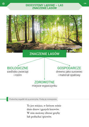 Podróż przez pory roku z kartami pracy - Komplet 4 teczek. Karty pracy (590 kart) dla II etapu nauczania uczniów z niepełnosprawnością intelektualną w stopniu umiarkowanym. Część 1, 2, 3, 4
