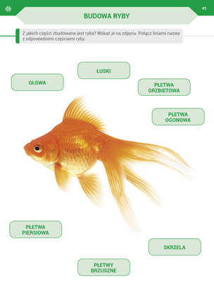 Podróż przez pory roku z kartami pracy - Komplet 4 teczek. Karty pracy (590 kart) dla II etapu nauczania uczniów z niepełnosprawnością intelektualną w stopniu umiarkowanym. Część 1, 2, 3, 4