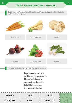 Podróż przez pory roku z kartami pracy - Komplet 4 teczek. Karty pracy (590 kart) dla II etapu nauczania uczniów z niepełnosprawnością intelektualną w stopniu umiarkowanym. Część 1, 2, 3, 4