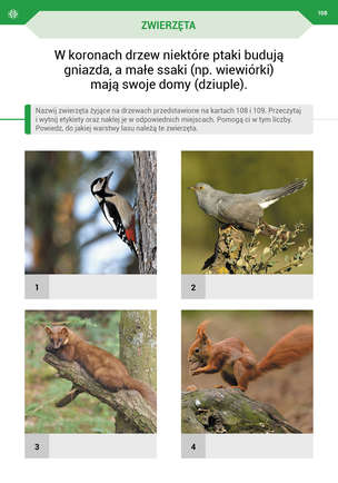 Podróż przez pory roku z kartami pracy - Komplet 4 teczek. Karty pracy (590 kart) dla II etapu nauczania uczniów z niepełnosprawnością intelektualną w stopniu umiarkowanym. Część 1, 2, 3, 4