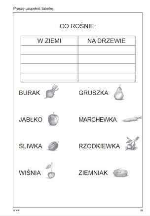 Terapia umysłowa osób dorosłych. Ćwiczenia do terapii afazji. Część 2