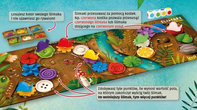 Ślimaki to mięczaki